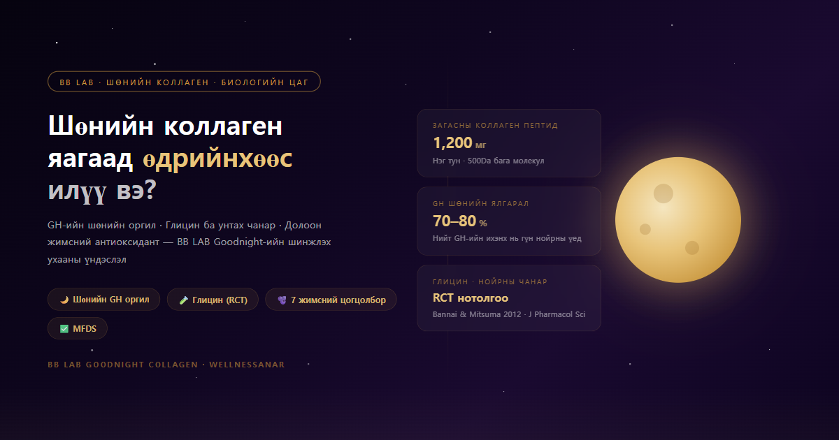 Шөнийн коллаген яагаад өдрийнхөөс илүү вэ? — BB LAB Goodnight-ийн шинжлэх ухаан