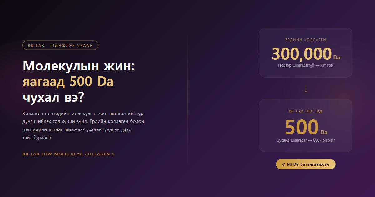 Коллаген пептид молекулын жин 500 Da vs 300000 Da харьцуулалт