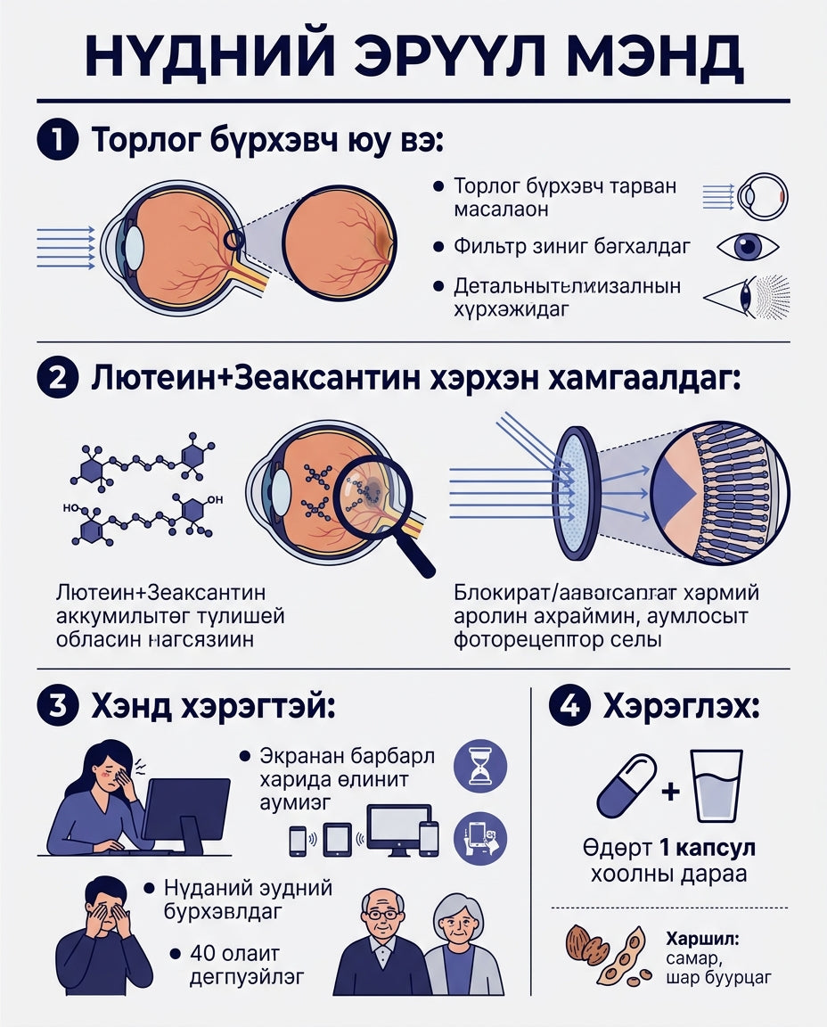 164 Лютеин Зеаксантин GR инфографик 2