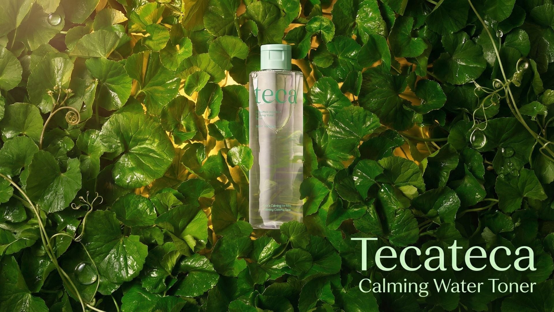 Тэкатэка Тайвшруулах Усан Тонер