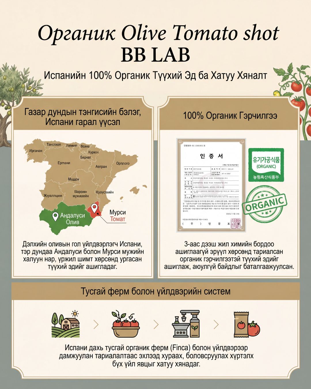 BB LAB Органик Olive Tomato Shot 4