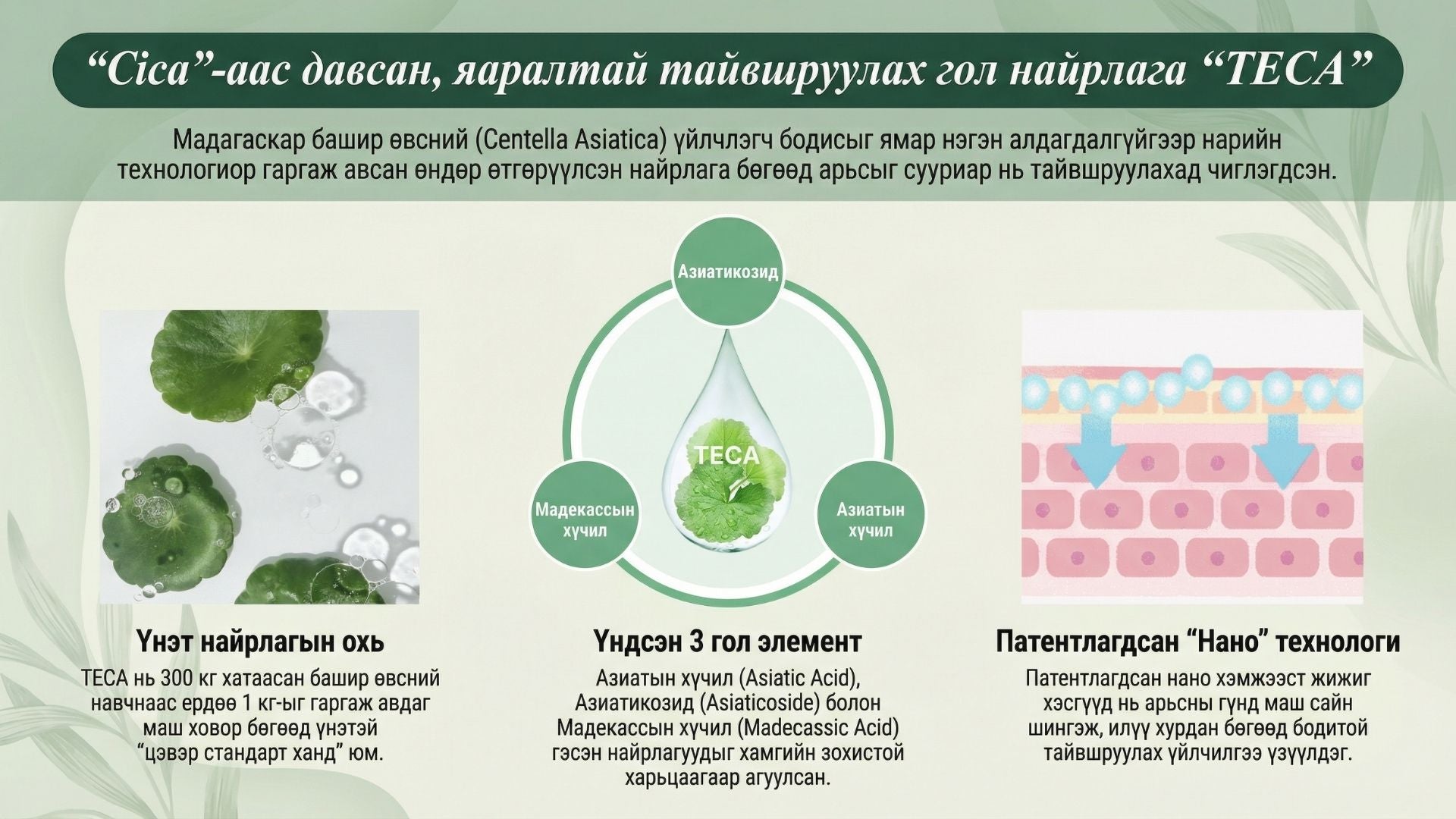 Тэкатэка Тайвшруулах Усан Тонер 3