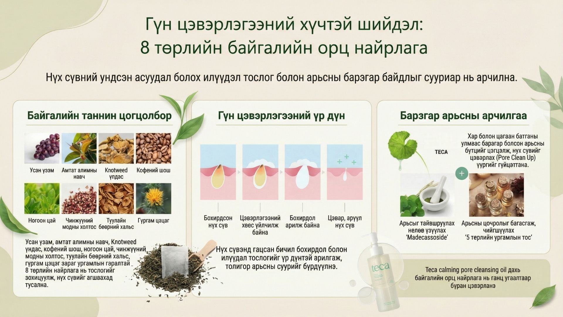 Тэкатэка Тайвшруулах Нүх Сүвний Цэвэрлэх Тос / Tecateca Calming Pore Cleansing Oil 3