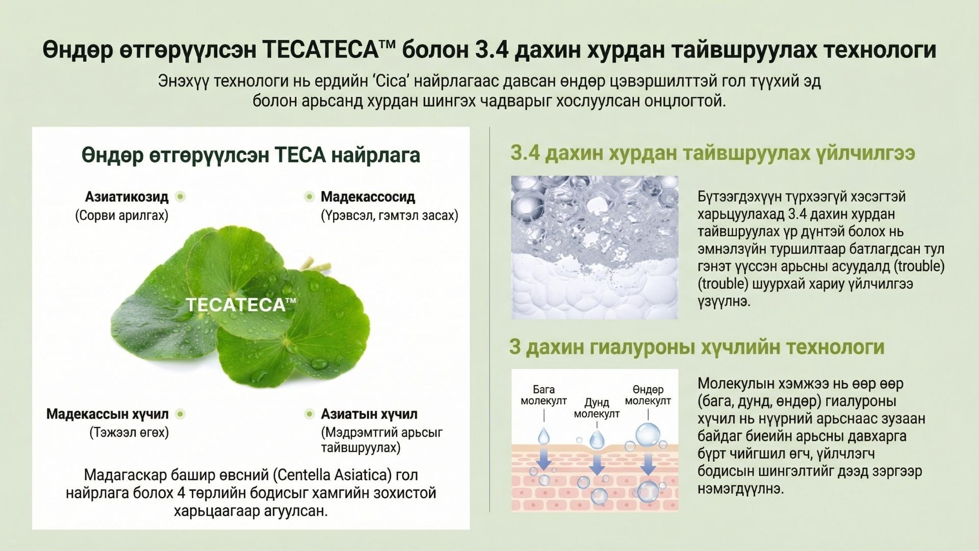 Тэкатэка Тайвшруулах Нарны Биеийн Мист 4