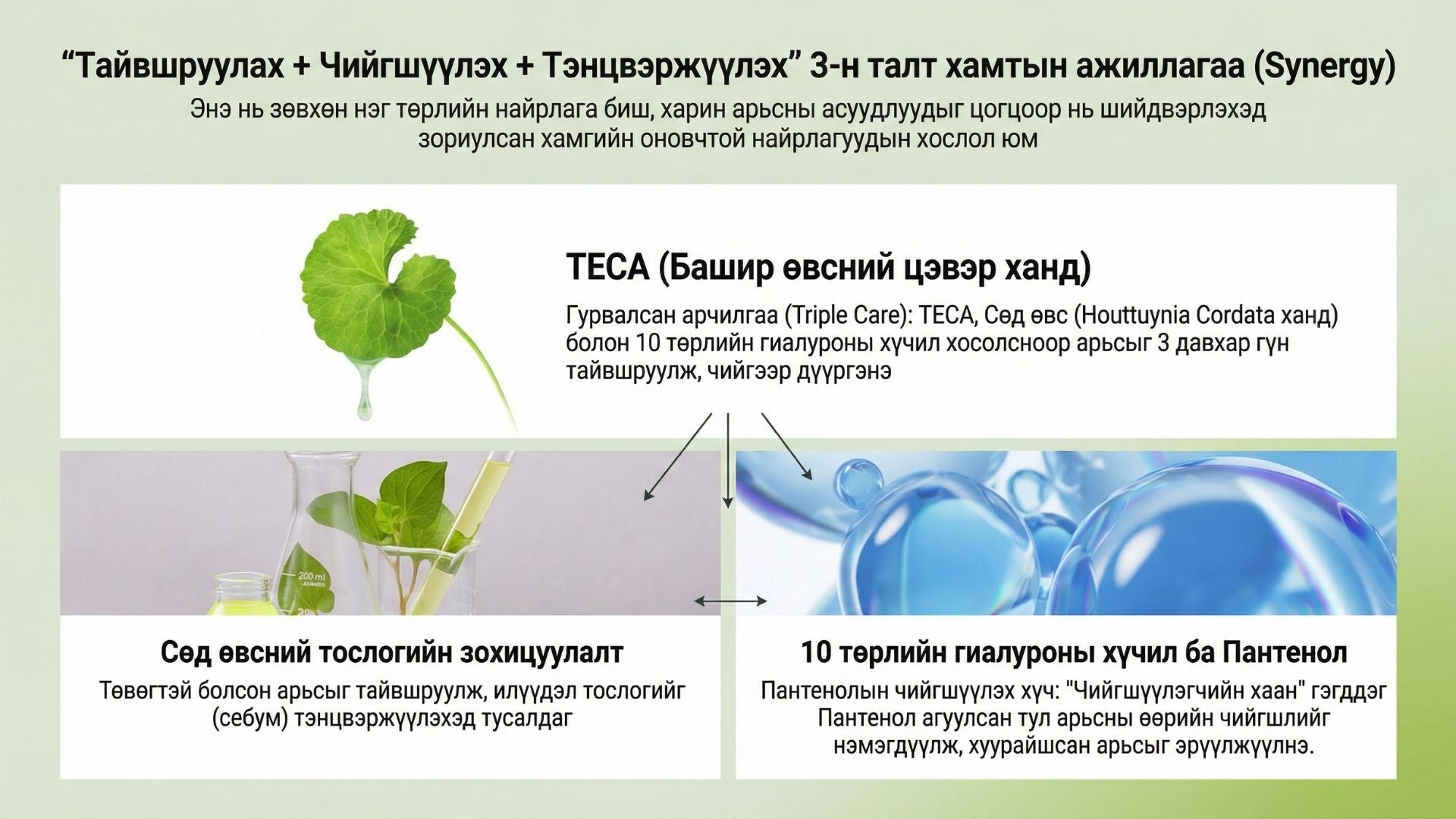 Тэкатэка Тайвшруулах Усан Тонер 4