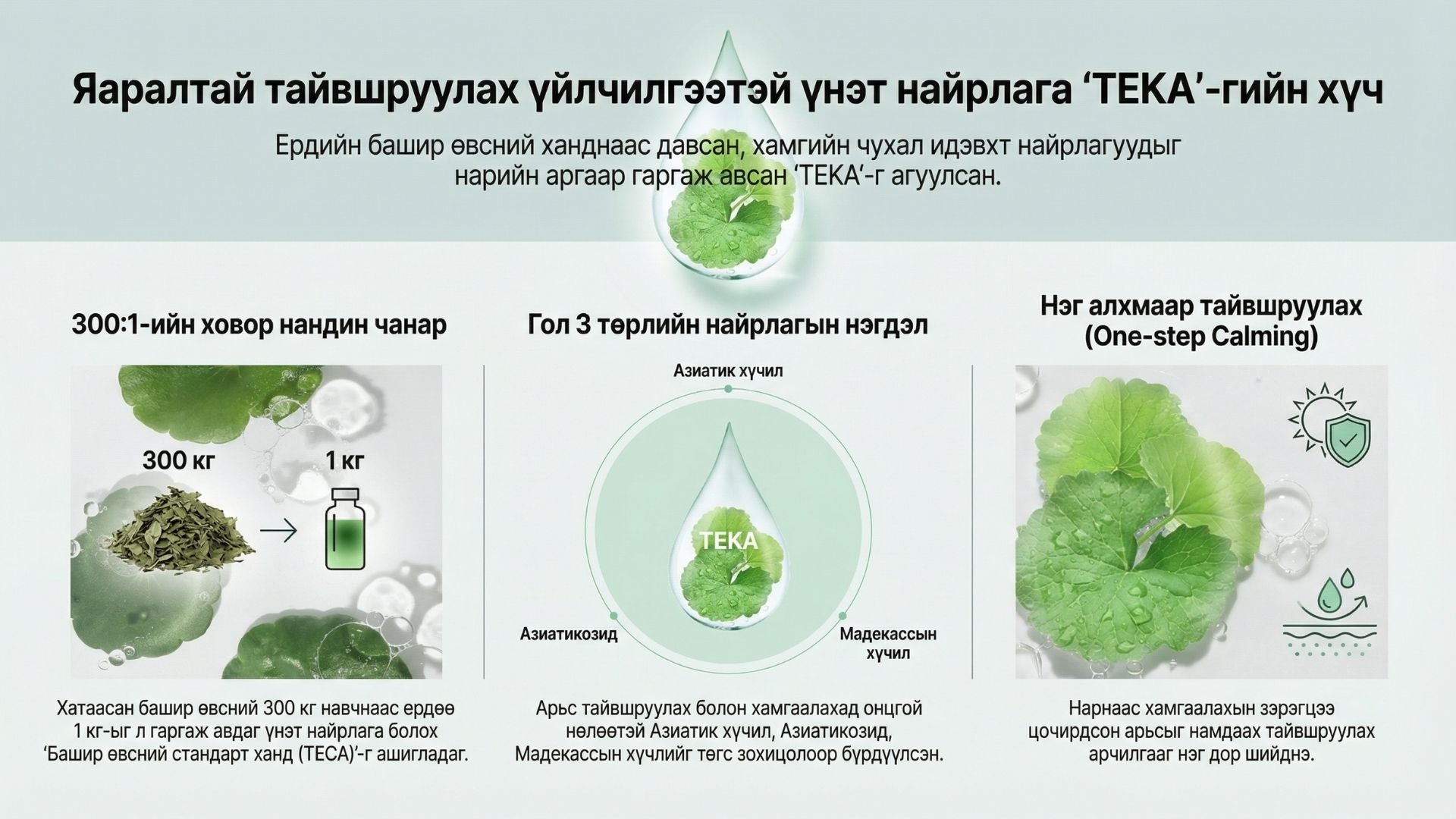 Тэкатэка Тайвшруулах Аква Наранцацгаа 4