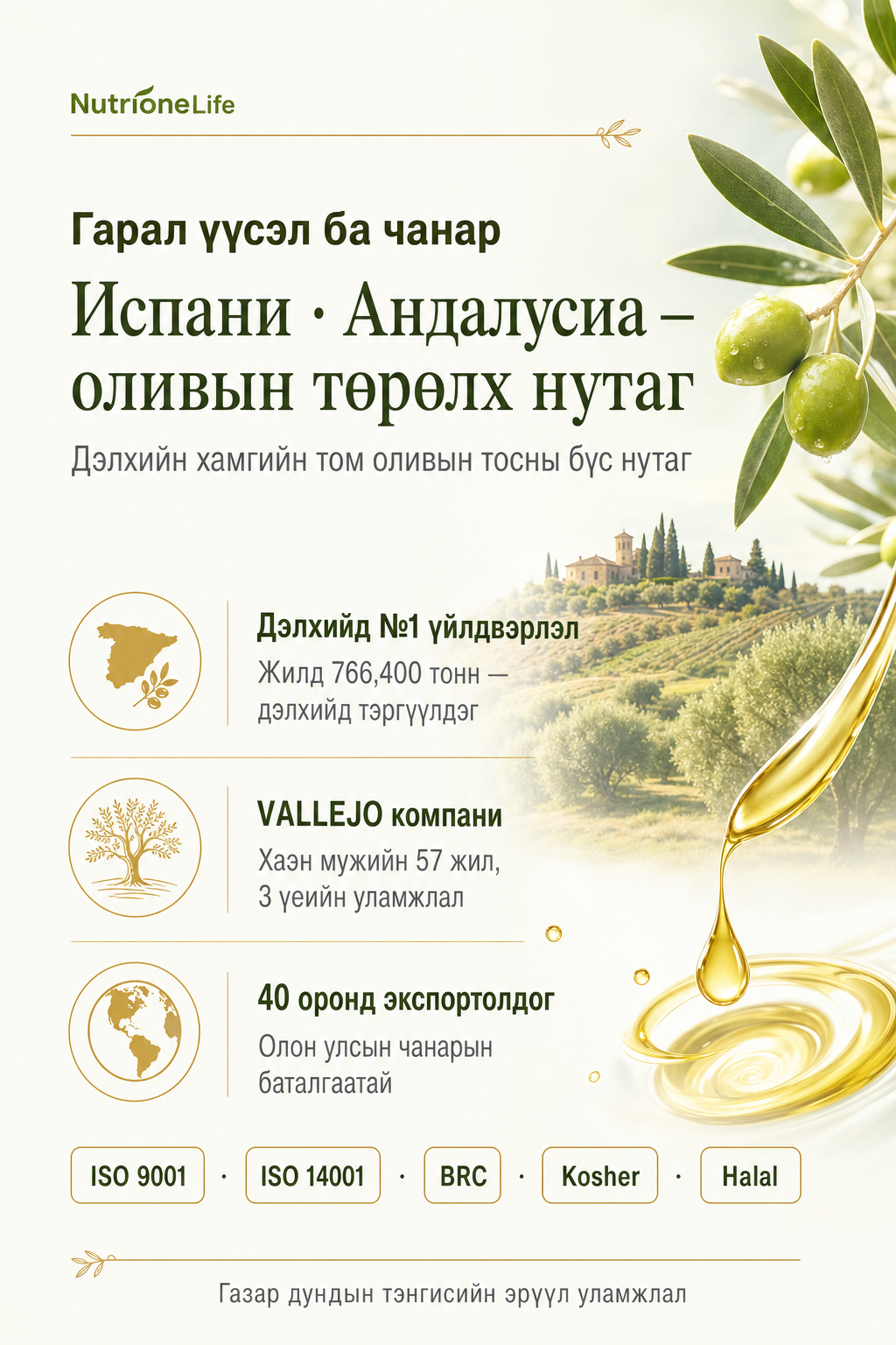 Гарал үүсэл: Испани Андалусиа, VALLEJO, гэрчилгээ
