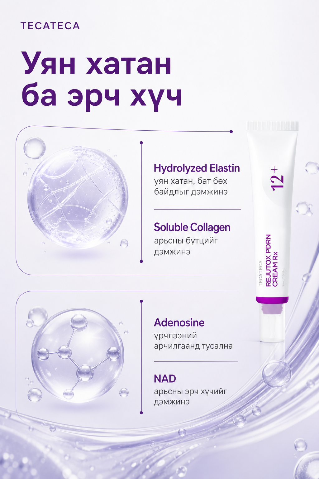 Elastin Collagen Adenosine NAD
