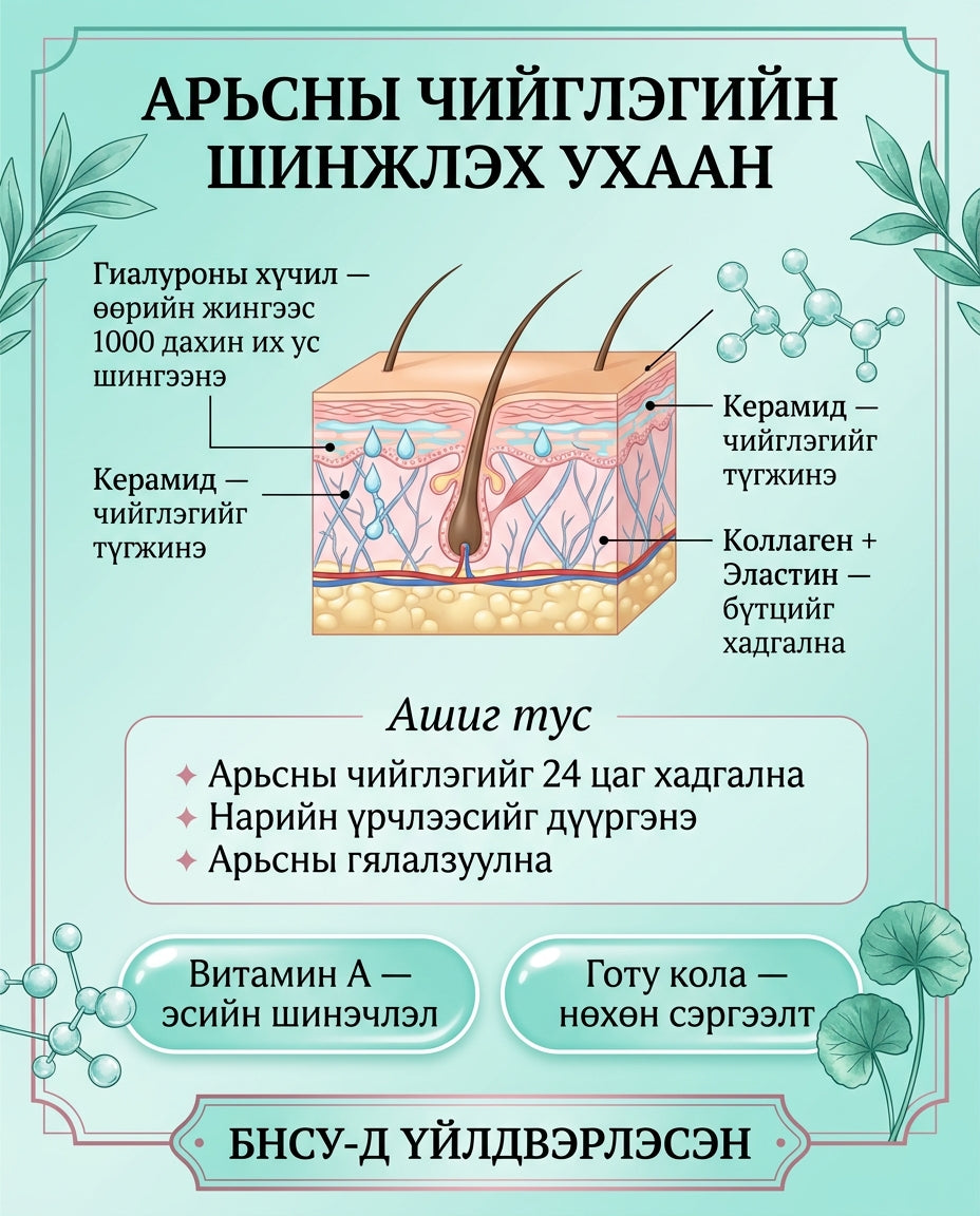 BB LAB Гиалуроны хүчил инфографик 2