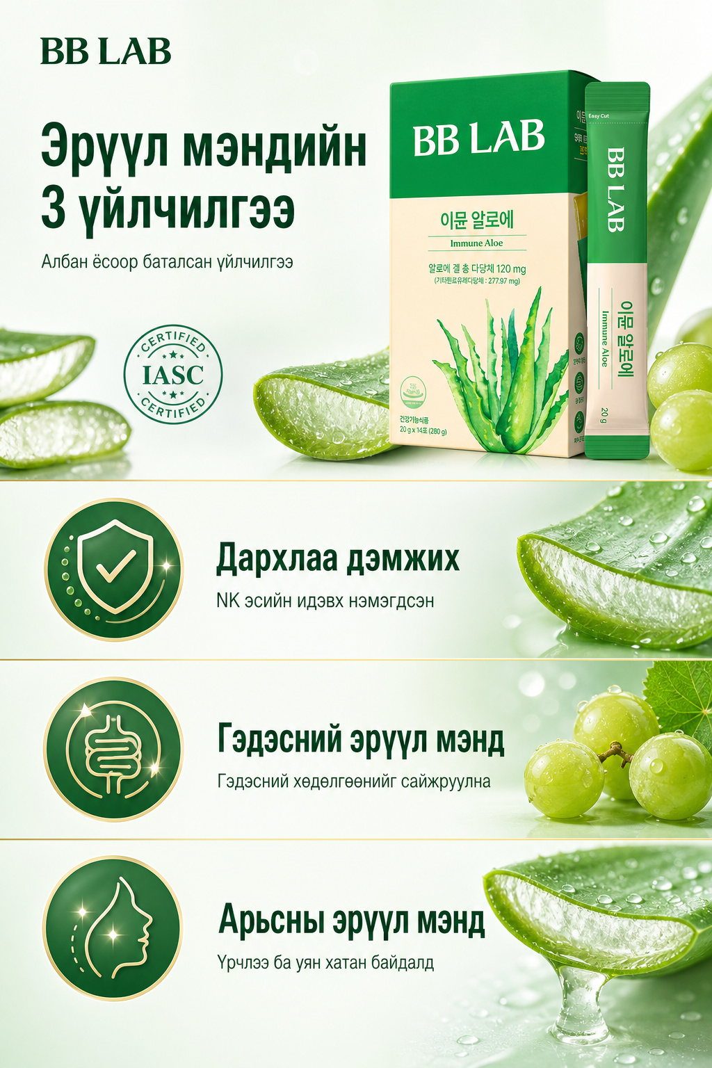 3 үйлчилгээ: дархлаа, гэдэс, арьс (баталсан)