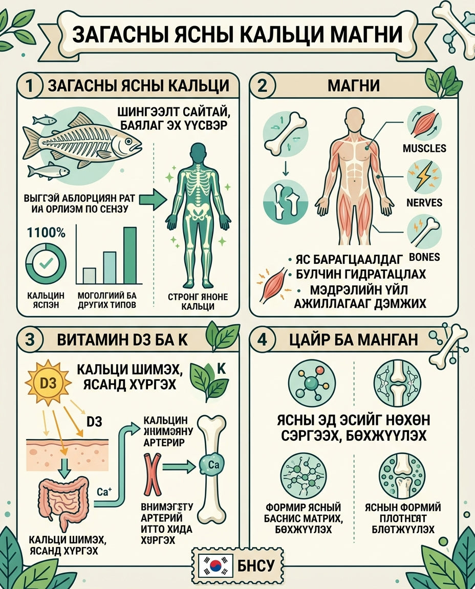NutrioneLife Загасны ясны кальци, магни, витамин Д 1