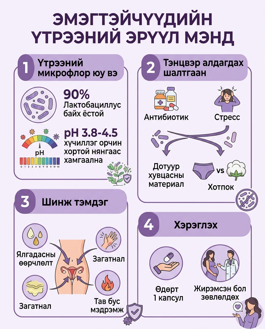 Жиноприй Пробиотик инфографик 2
