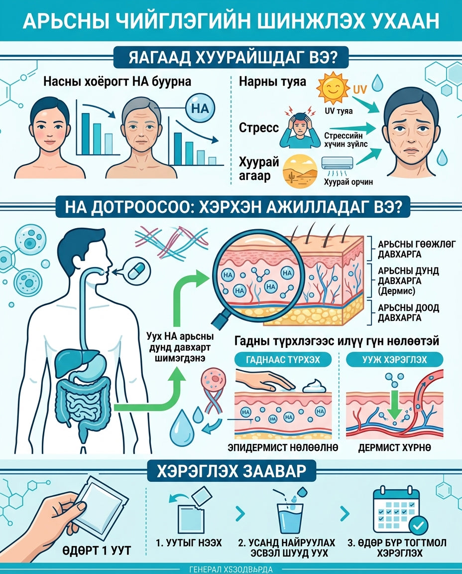 HA чийгшүүлэгч 2