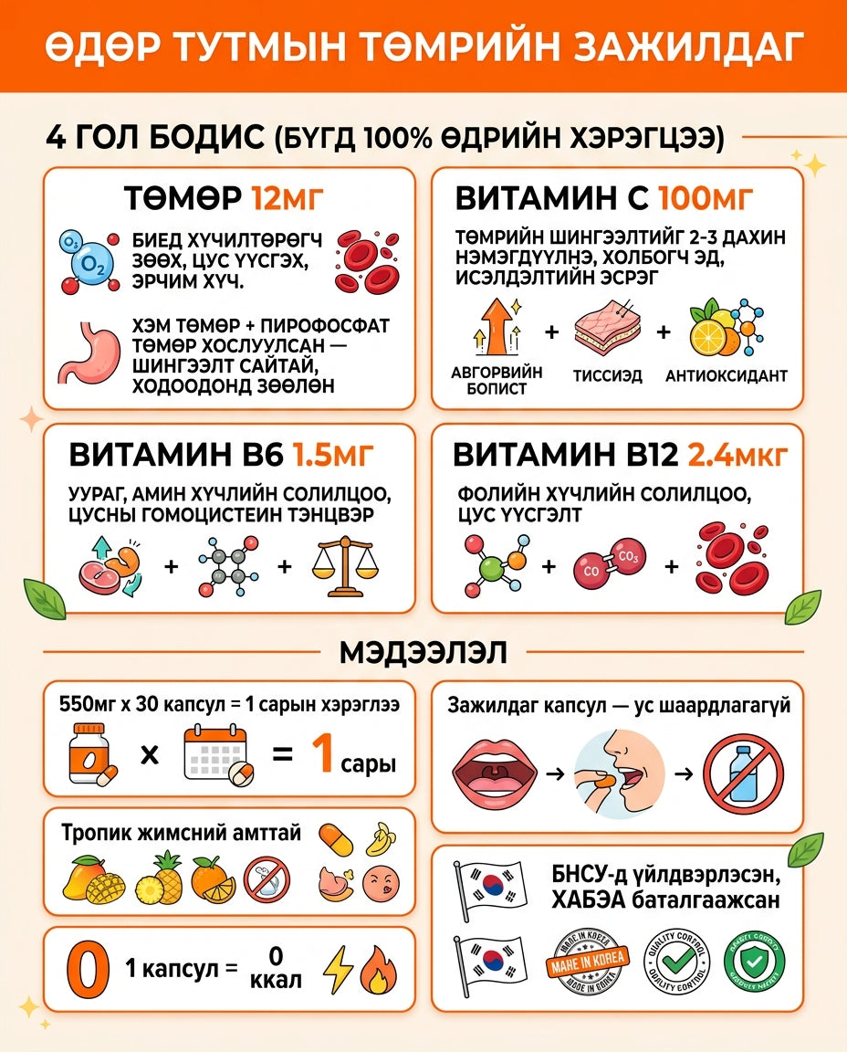 Виташнел Дэйли Төмөр инфографик 1