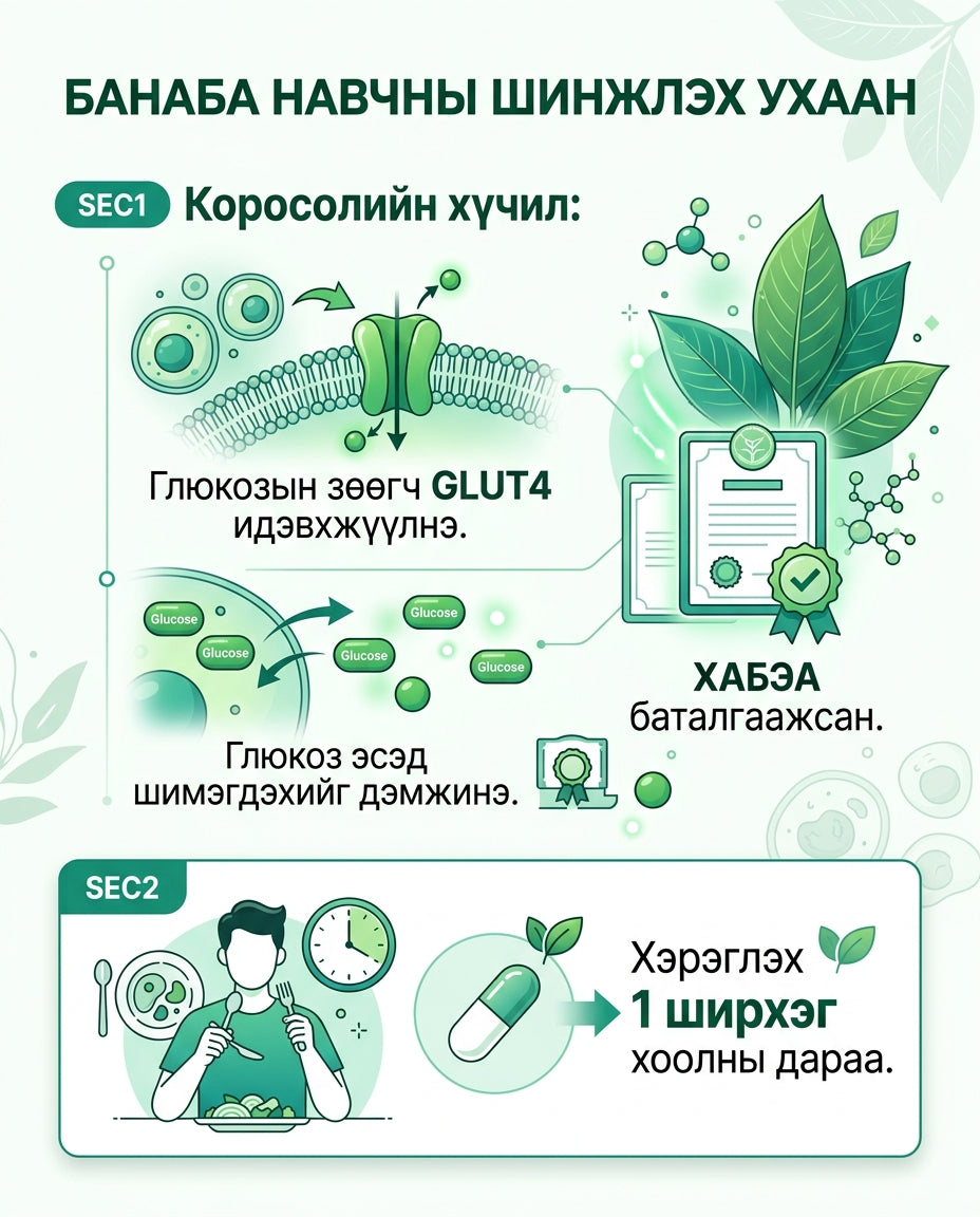 NutrioneLife Цусан дахь сахарын эрүүл мэндэд зориулсан Премиум Банаба 2