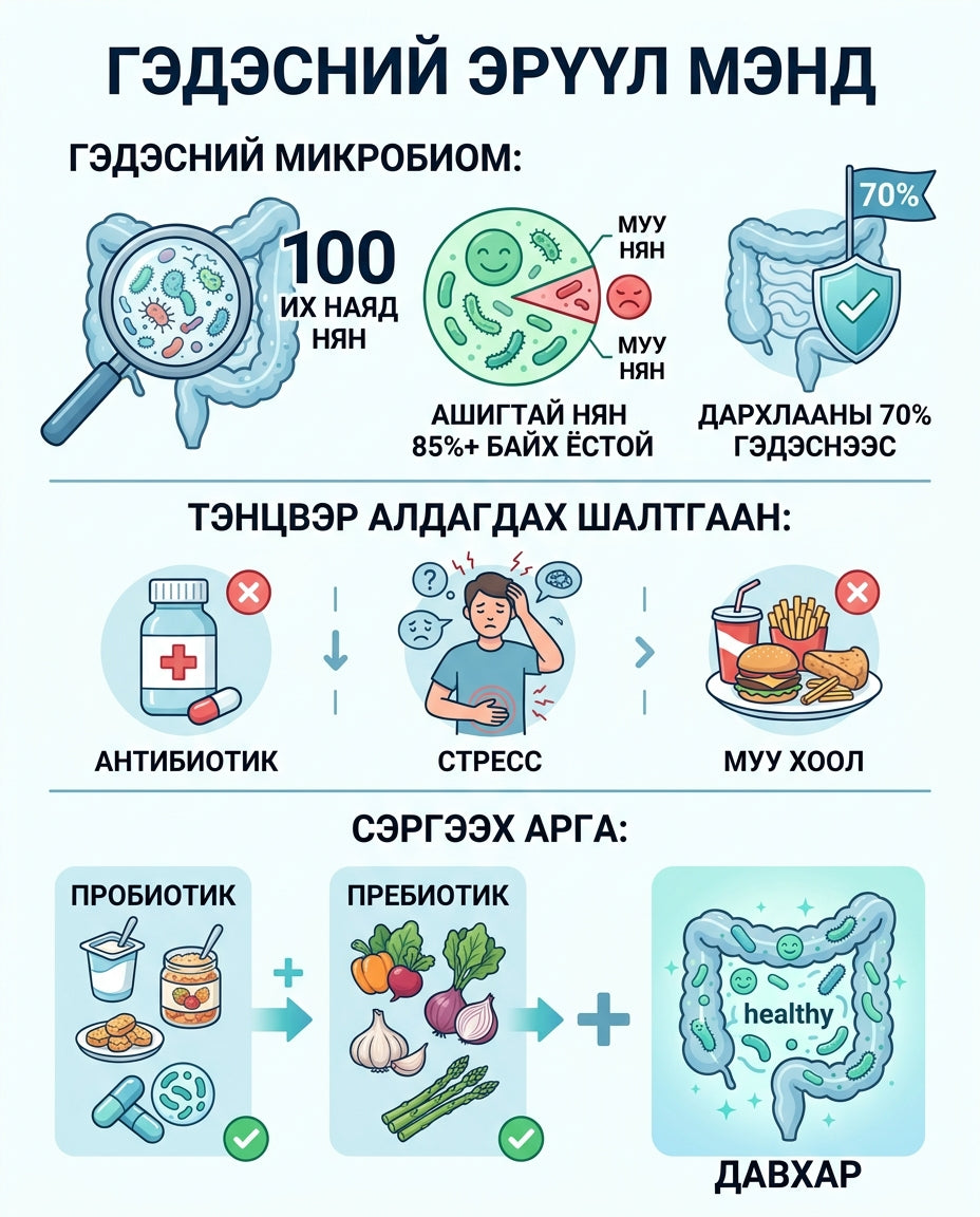 Пробиотик Пребиотик 2