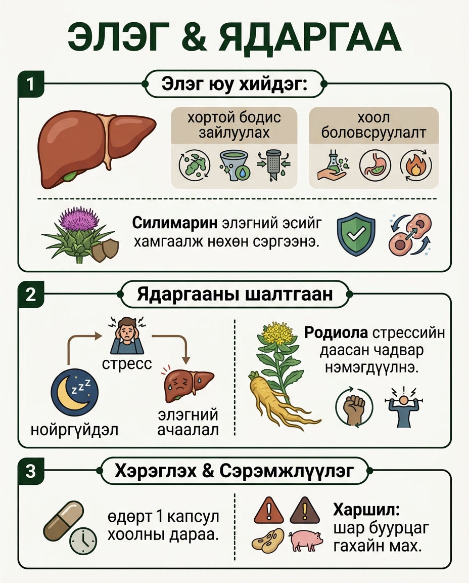 Родиола Милк Тистл инфографик 2